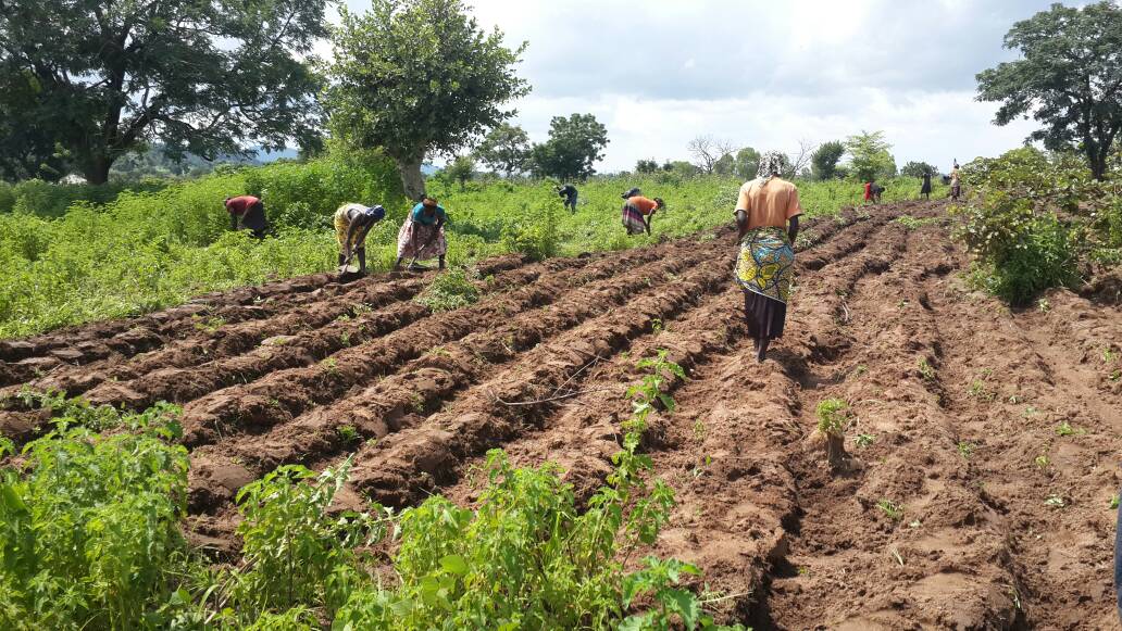 Pesa AGRI
