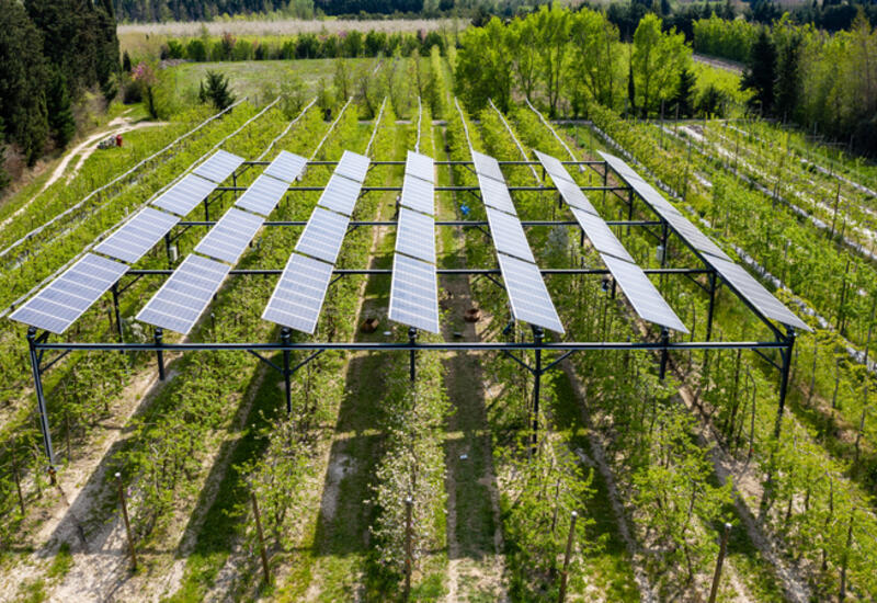 AGRO SOLAR BOX